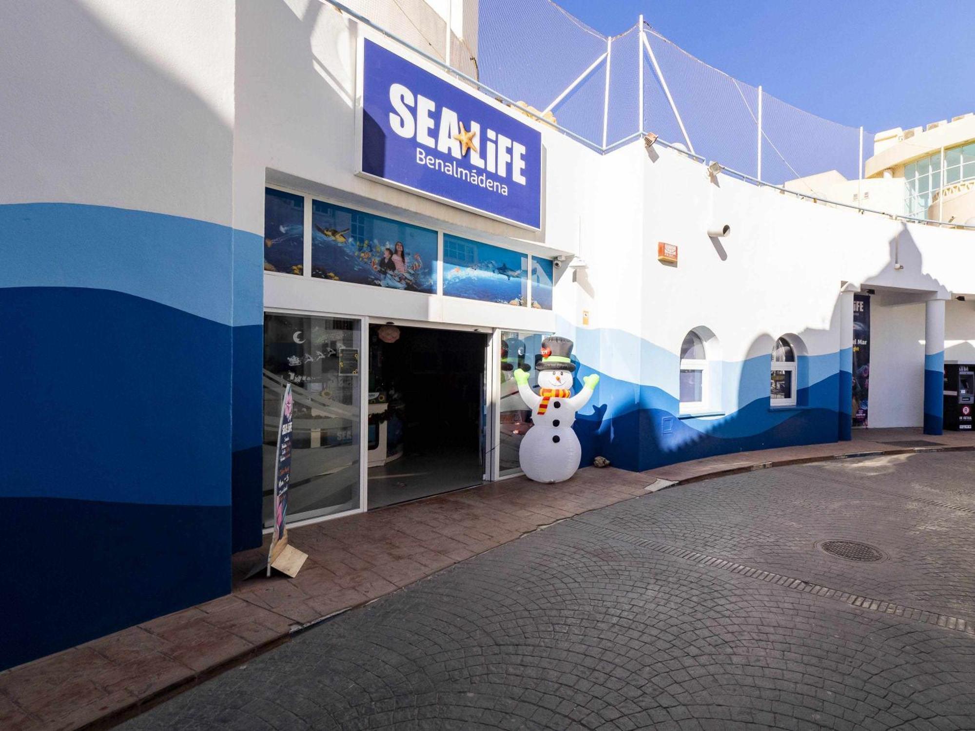 Mshome La Fragata Sea Terrace ベナルマデナ エクステリア 写真